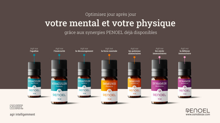 Phoenix™ : Combativité, Ténacité, Force mentale