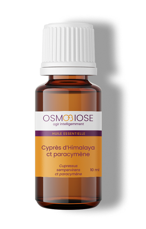 Huile essentielle Cyprès d'Himalaya CT paracymène OB