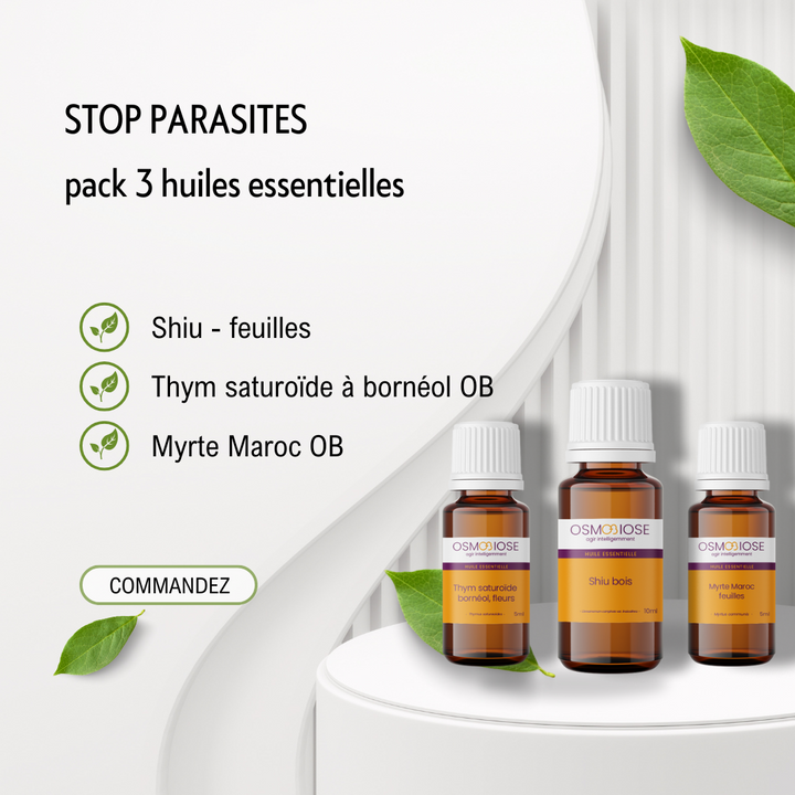 Stop parasites : le trio : Shiu, Thym saturoïde, Myrte rouge