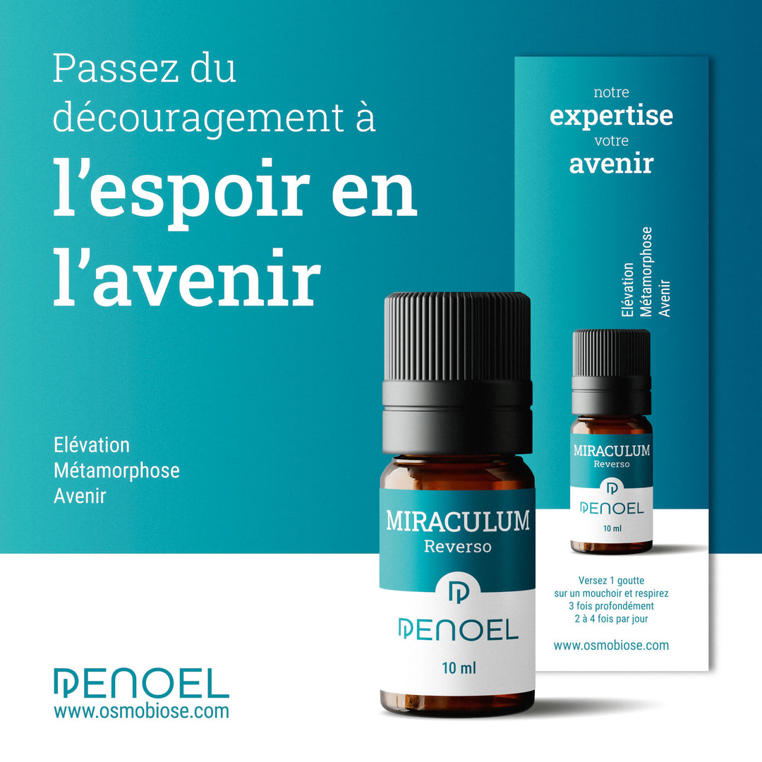 Reverso™ : Elevation, Métamorphose, Avenir